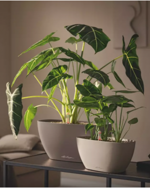 съд за цветя Navio Color 10&20